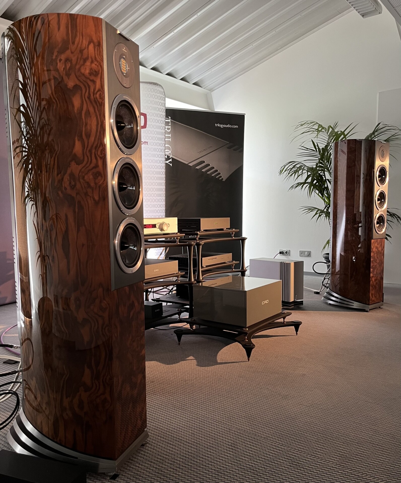 audiovector r ead highend2024