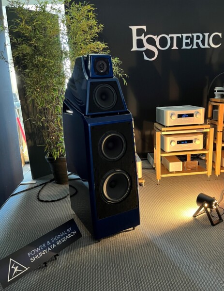 shunyata theta gamma ead