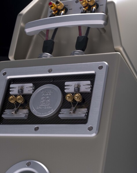 blonde silver satin back 5